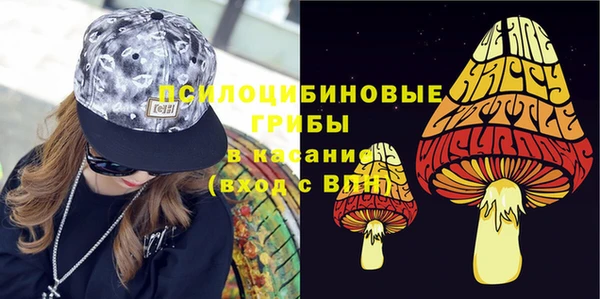 мдпв Армянск