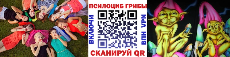 купить наркотики цена  Сургут  KRAKEN вход  Псилоцибиновые грибы Cubensis 