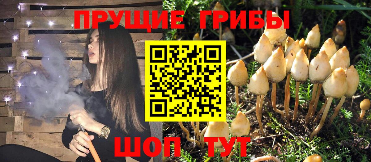 Галлюциногенные грибы мицелий  Галлюциногенные грибы мухоморы  Вход с VPN  Сургут 