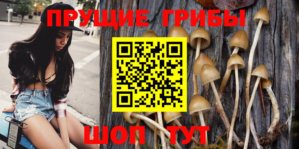 Псилоцибиновые грибы GOLDEN TEACHER Сургут