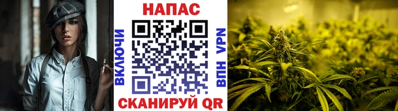 Каннабис Bruce Banner  Сургут 